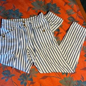 American Eagle Outfitters Blue and White Striped Pants